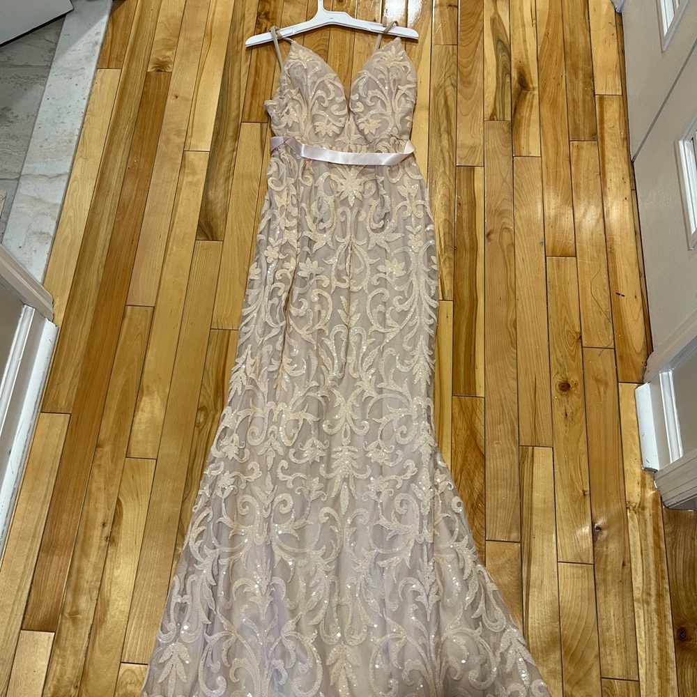 Elegant Blush Sequin Gown